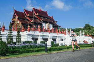 BIB: 
                            <button type="button" onclick="openModal(22459225)" class="btn btn-primary btn-sm float-right btn-popup" data-toggle="modal" data-target=".modal-high-quality">
                        <i class="fas fa-shopping-cart"></i> Add to Cart
                    </button>
                                            <button type="button" onclick="isThisMe(22459225, true)" class="btn btn-success btn-sm float-right btn-popup btn-isme hidden" data-toggle="tooltip" data-placement="bottom" title="นี่คือรูปของคุณใช่ไหม คลิกที่นี่เพื่อเอาเข้าอัลบั้ม">
                        <i class="fas fa-plus"></i> Add to album
                    </button>
                    <button type="button" onclick="isThisMe(22459225, false)" class="btn btn-warning btn-sm float-right btn-popup btn-isnotme hidden">
                        <i class="fas fa-ban"></i> Remove from album
                    </button>